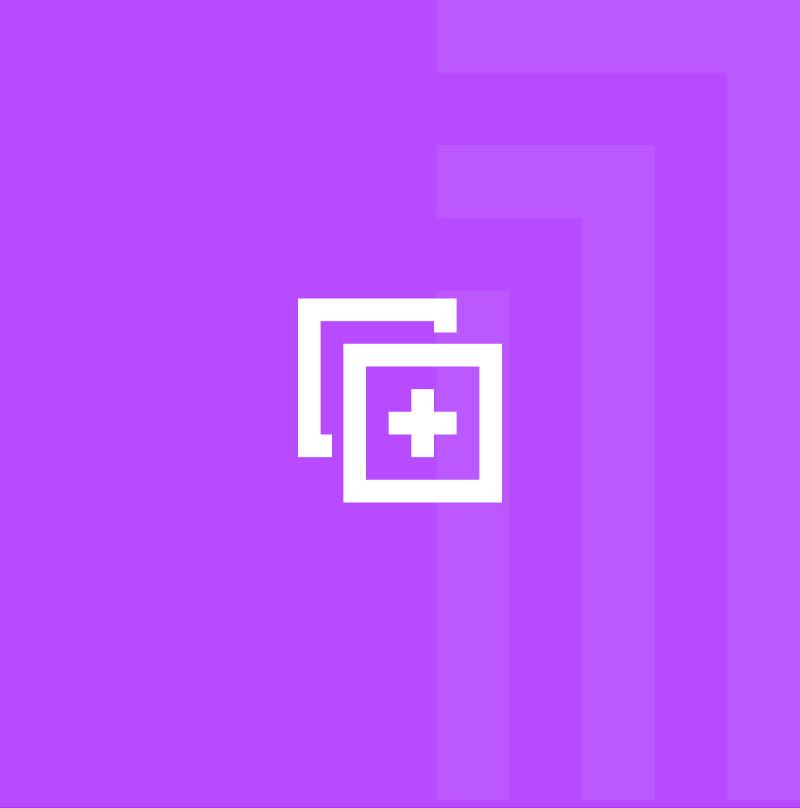 Duplicate document icon