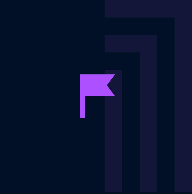 Flag icon