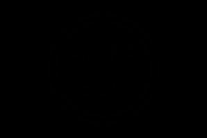 AICPA SOC icon