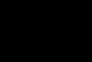 Customer success star icon