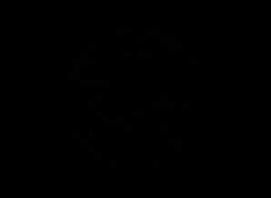 Europe globe icon