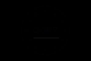 GDPR icon