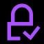 Lock with tick icon