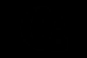 Secure globe icon